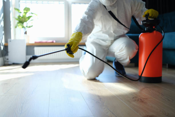 Reliable Odor Removal contractor in Avenal, CA by Trauma Clean Pros